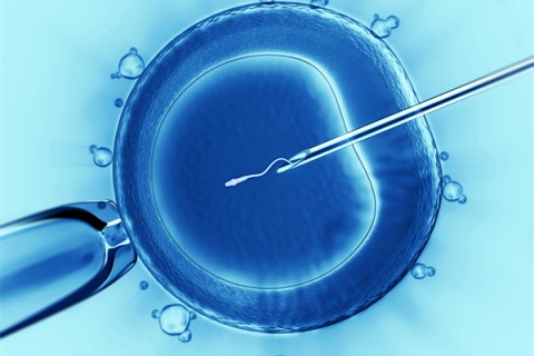 http://chongqing.vdtfzz.com/post/198.html|重庆代生助孕