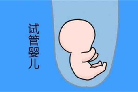 http://chongqing.vdtfzz.com/post/194.html|重庆新闻中心